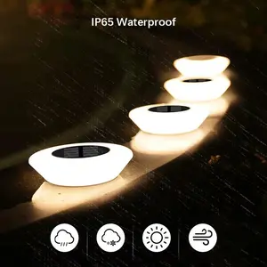 Solar LED Pathway Lights – Waterproof Outdoor Garden & Walkway Lights SHENZHITECH