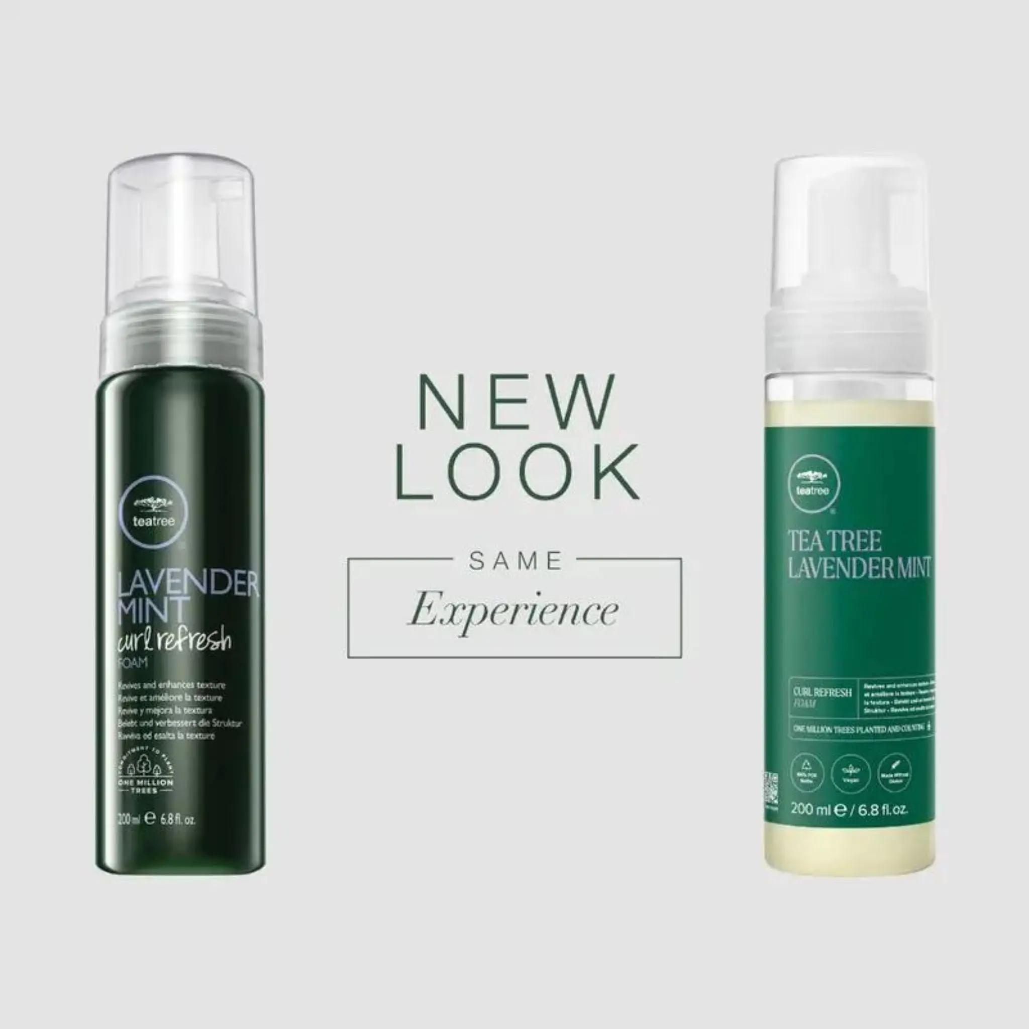 Paul Mitchell Lavender Mint Curl Refresh Foam - Unisex Haircare Mousse, Tea Tree Styling Product for Coarse & Normal Dry Curly Hair, Calming Scent, Anti-Frizz Definer, Lightweight Moisture Provider, Wavy, Vegan, Natural Curls