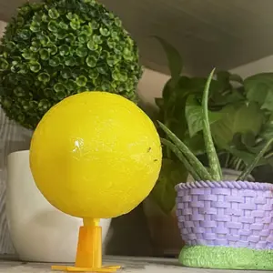 Fly Trap Ball for Citrus Fruit Flies, Effective Fly Attractant for Garden Plants, Durable Pest Control Solution for Home Use