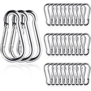 Small Carabiner Clip, 30pcs 1.57inch Mini Carabiners Clips,  Stainless Steel Spring Snap Hook Heavy Duty, Locking Carribenares for Climbing Hiking Camping Fishing
