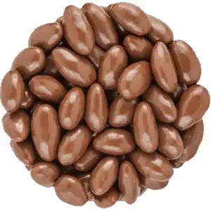 Milk Chocolate Covered Almonds