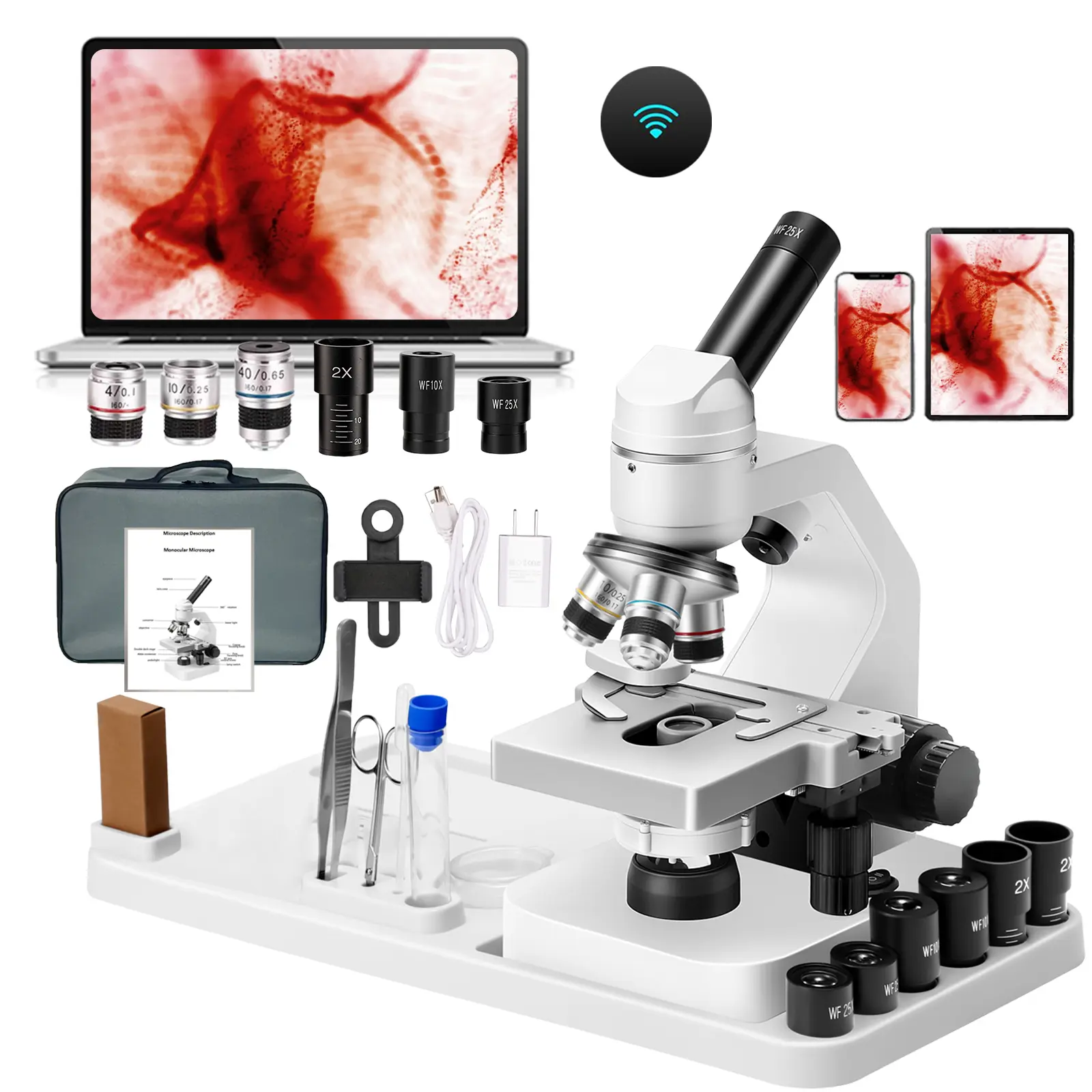Professional Research-Class Monocular Microscope with 2X/10X/40X Objectives, 40x-2000x Magnification, WF10x/WF25x Wide-Angle Eyepieces, Wireless Electronic Eyepiece, Dual LED Lighting, 2-Layer Mechanical Stage for Adults (Office, Educational Supplies), Mo