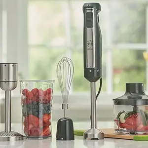 Princess House Vida Sana Electric 4-in-1 Immersion Blender