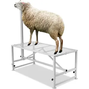 VEVOR Goat Sheep Stand, 51x23 inch Livestock Stand, Metal Livestock Milking and Shearing Stand 21 to 33 Adjustable Height, with Headpiece and Nose Loop, 500lbs Loading Weight, BlackVEVOR Super Brand Day