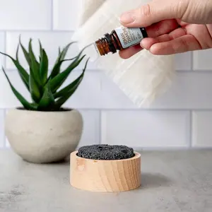 Lava Rock Passive Diffuser