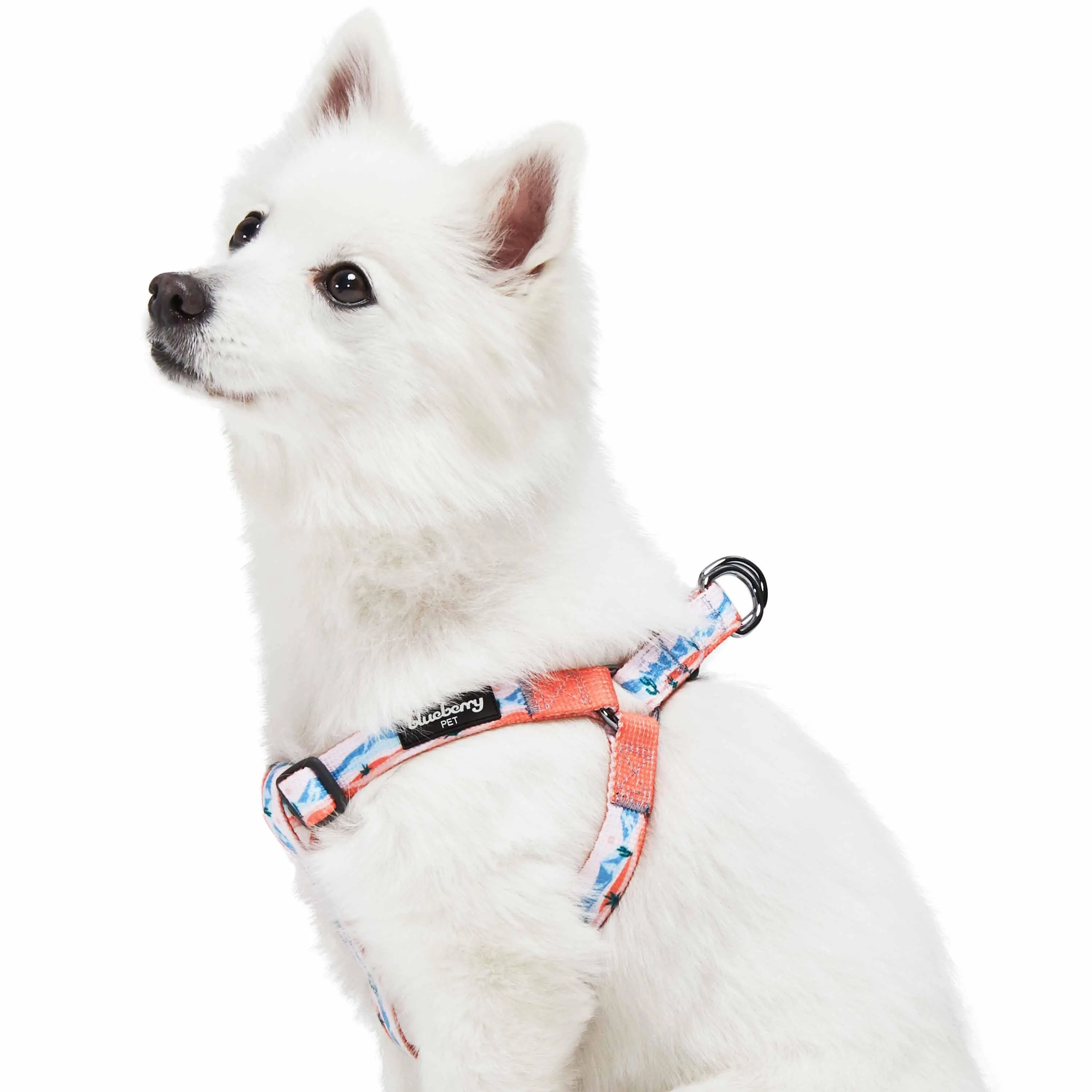 Blueberry Pet Jackelyn Ho Dog Harness For Hiking Adventures