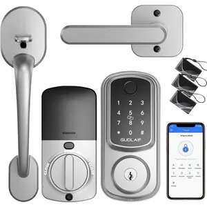 Door Lock Deadbolt with Handle Set, Front Door Lock Set, Deadbolt, Deadbolt Lock with Alexa (Silver)