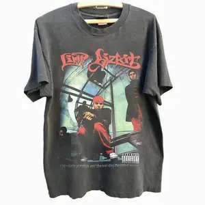 Limp Bizkit Vintage Fan Shirt - New Limp Bizkit T-Shirt Unisex Shirt - Graphic Tee