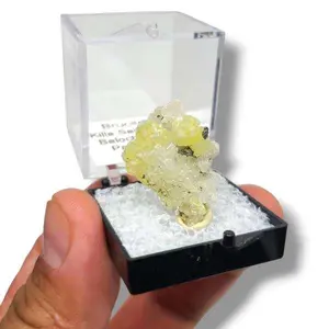 Brucite Killa Saifullah - Diverse Pakistani Minerals in Perky Boxes