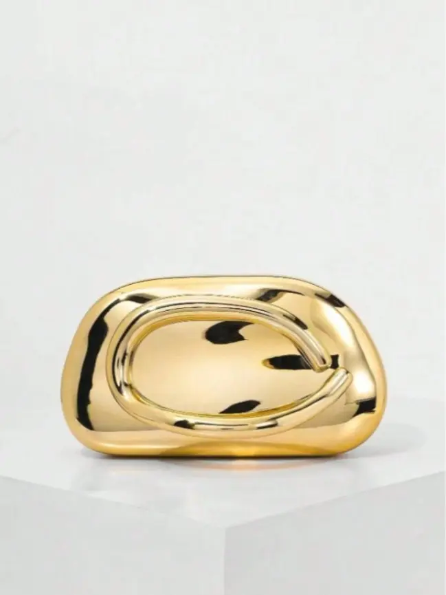 Women's Metal Home Organizer Storage Bag - Formal Trendy Minimalist Gold Bag for Women, Sleek Finish, Ideal for Bridal Party, Wedding Outfits, Formal Purse, Trendy Minimalist Purse