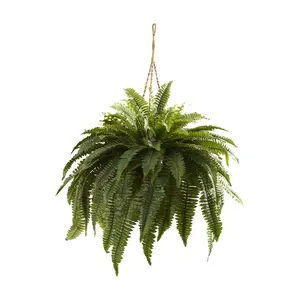 Double Giant Boston Fern Hanging Basket by Nearly Natural