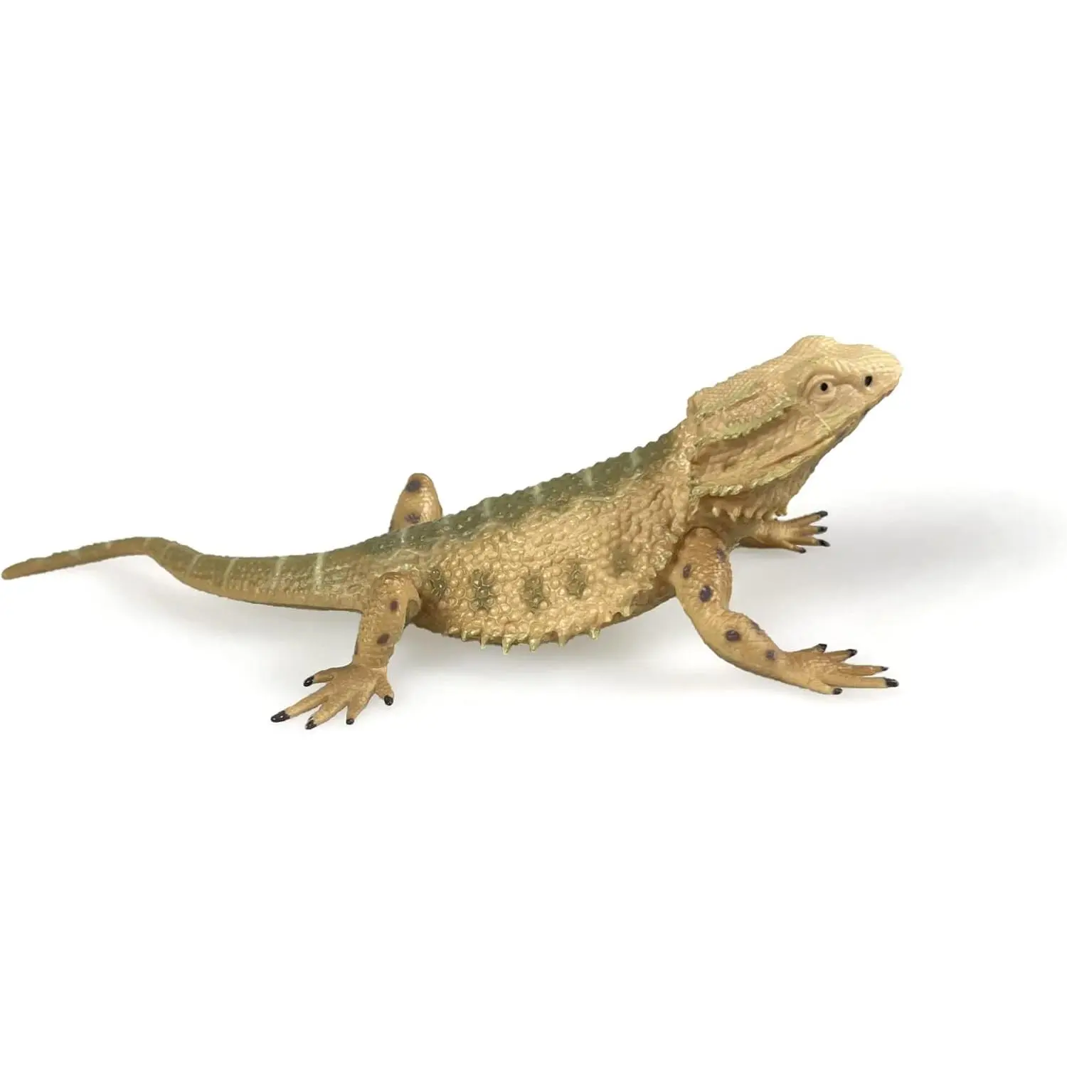Bearded Dragon Animal Figurine Lizard  Realistic Reptile Figures for Decoration, Science Education, Prank Props (Bearded Dragon)