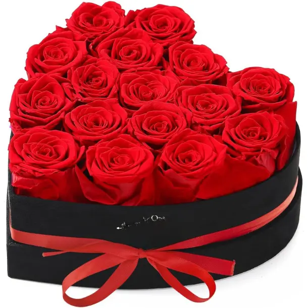 Mothers Day Gift Roses Gifts for Mom,Forever Preserved Flowers Roses in a Heart Shape Box, for Wife Women Mom Grandma from Daughter,Fresh Flowers for Delivery/16Pcs Red