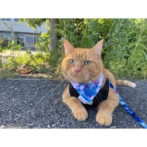 “The Groovy Cat” Leash