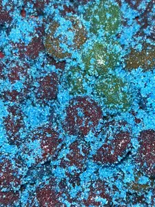 Michaelacandyzz Sour Blue raspberry gushers 8 oz