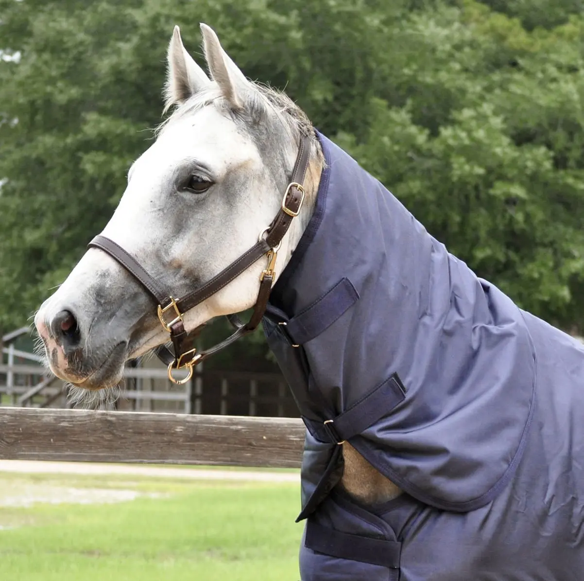 Jeffers 1680 Denier Waterproof Neck Rug for Horses, 240 Gram Fill