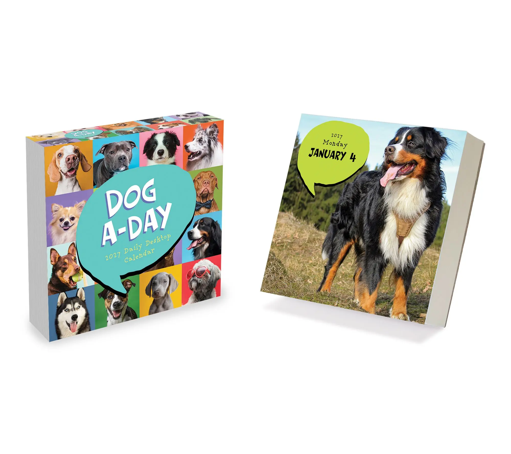 2027 Dog A Day Daily Desktop Calendar