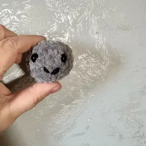 Pet rock keychain