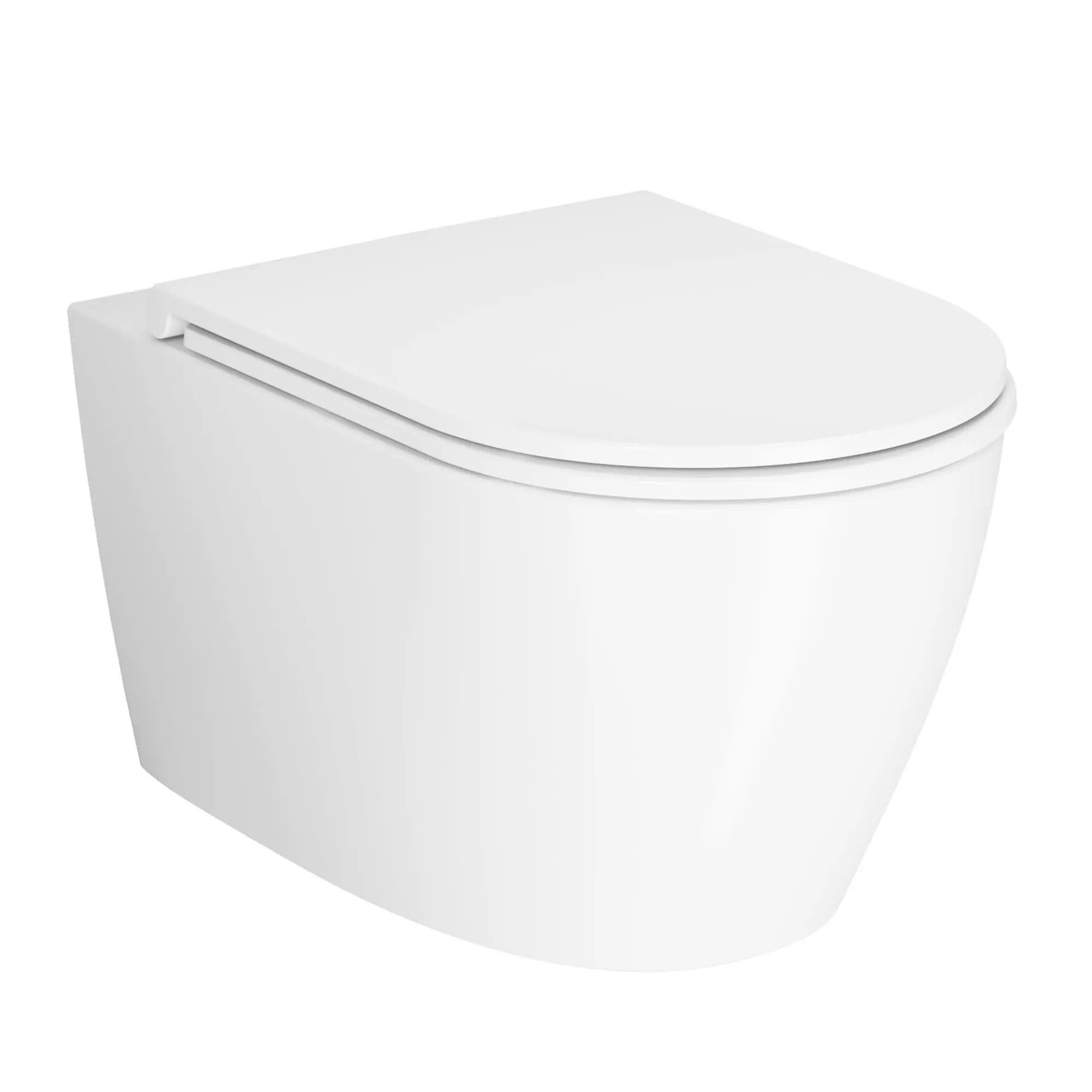 Tankless Wall-Hung Commercial Toilet, One-Piece Ceramic, Soft-Close Seat, White