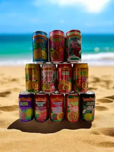 Hawaiian Sun Tropical Juice Drinks 12 Flavor Variety pack 12 Cans