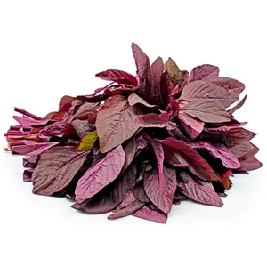 Red Amaranth Seeds Rau Dền Đỏ Non-GMO Heirloom Annual Bag for Warm Season Cultivation by Mai's Family
