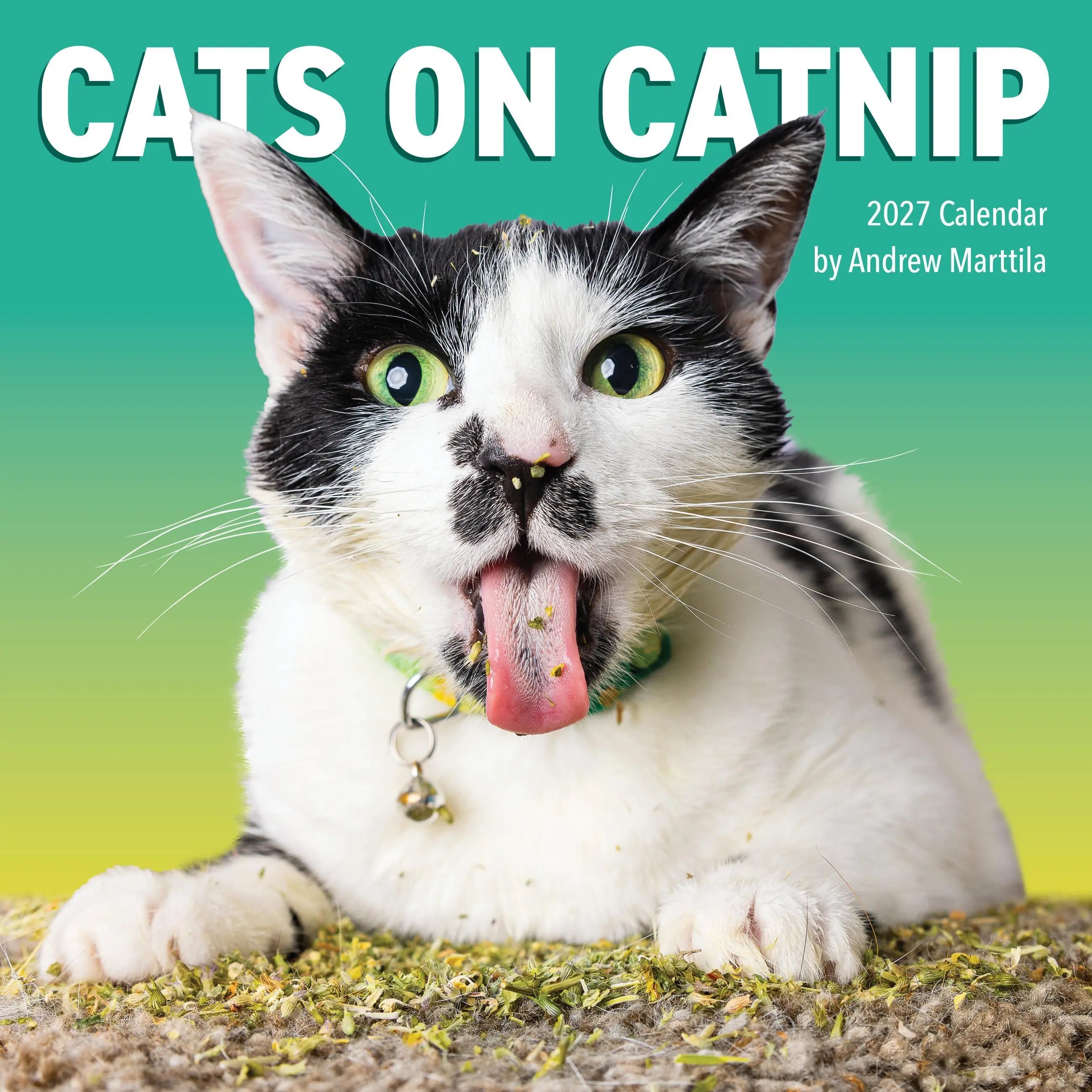 Cats on Catnip Wall Calendar 2027 by Andrew Marttila, Workman Calendars