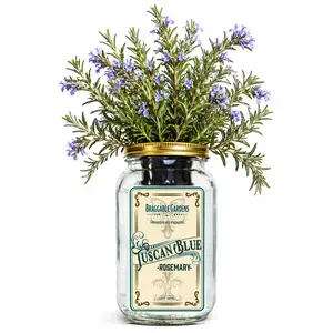 Tuscan Blue Rosemary Indoor Herb Garden Kit – Mason Jar Hydroponic Grow Kit – Countertop Windowsill Herb Planter – Self Watering Kitchen Herb Garden