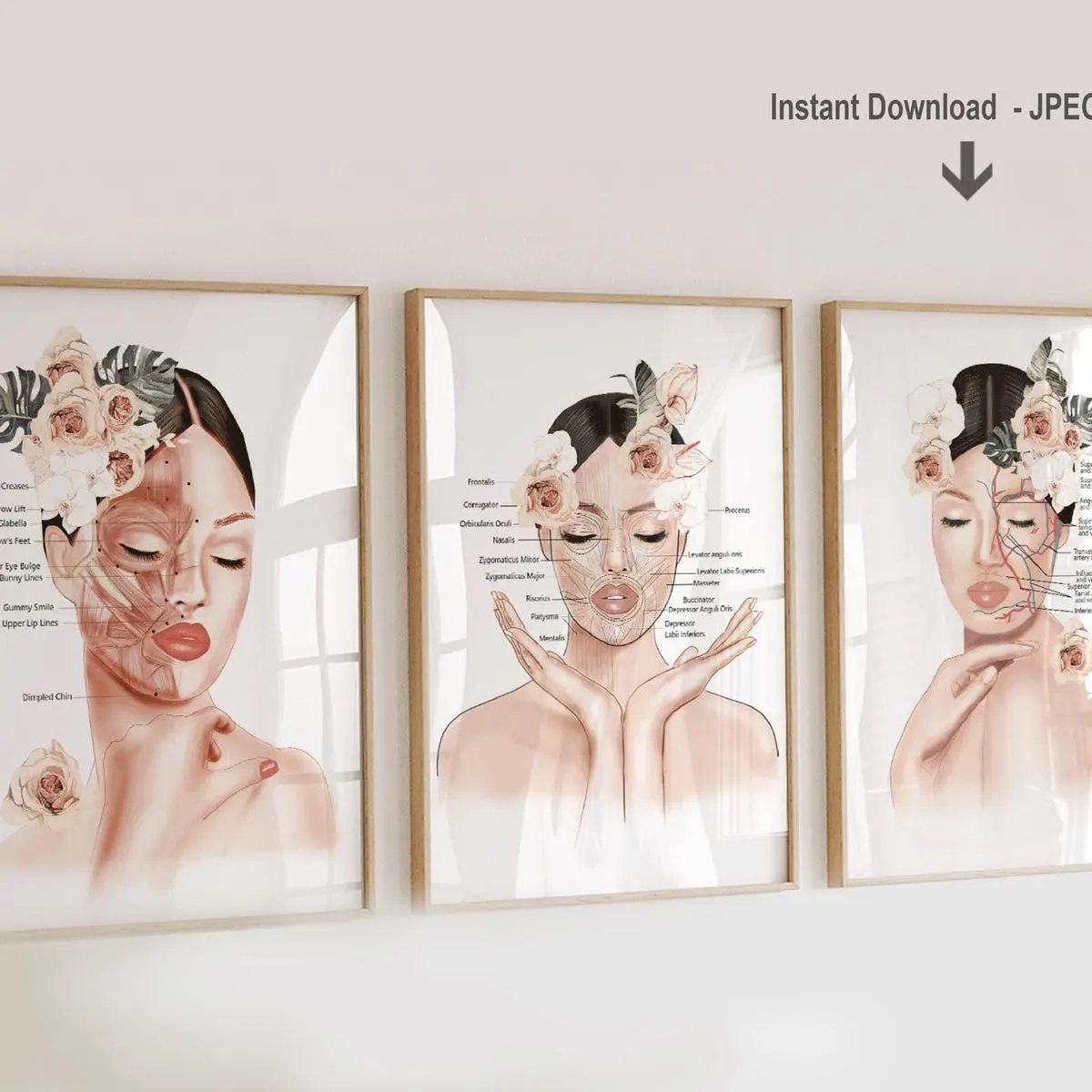 Unframed, Room Decor, Facial Anatomy Poster: Botox Points, Veins & Muscles  –  5 Sizes (8x12–27x40 inch)