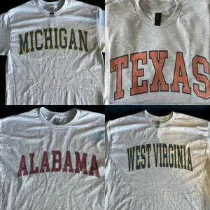 Vintage Varsity College T-Shirt, 100% Cotton Retro Campus Tee, Preppy Streetwear Top, Unisex Back to School Gift for Men and Women