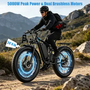 Qianchice Dual Motor Electric Bike for Adults, 4000WPeak 52V30AH Electric Bicycle with 24"X4"Fat Tire, Up to 40MPH 87 Miles Range, E-Bike for Men Women, UL 2849 Certified