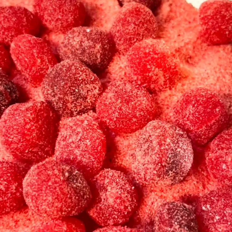 Tropical Sour Blasters - Viral Tropical Extreme Sour Gushers 5oz-16oz Cosmic Flavor Sweet Snack TikTok Trending Sour Gummies Candy Viral  Bonbon
