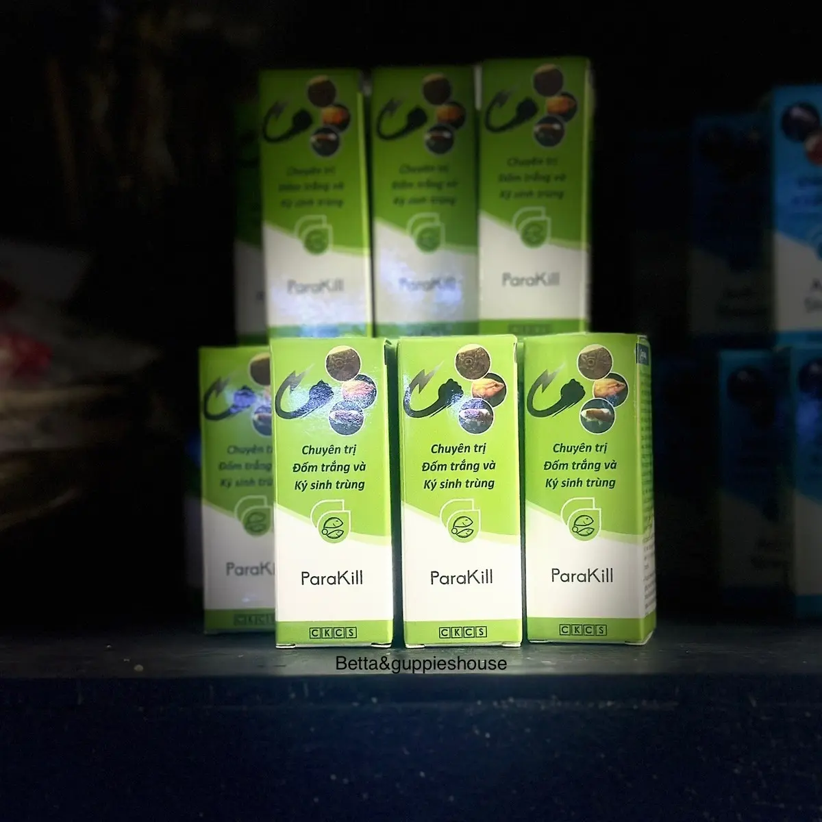 Parakill- Fishes Treatment