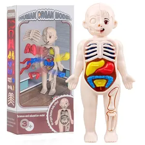 Montessori Toys Children Science Education Human Body Organ Anatomy Model DIY Assembled Medical Toys Teaching Tools Visual Learning Tools Child KidsChristmas Gift for Children