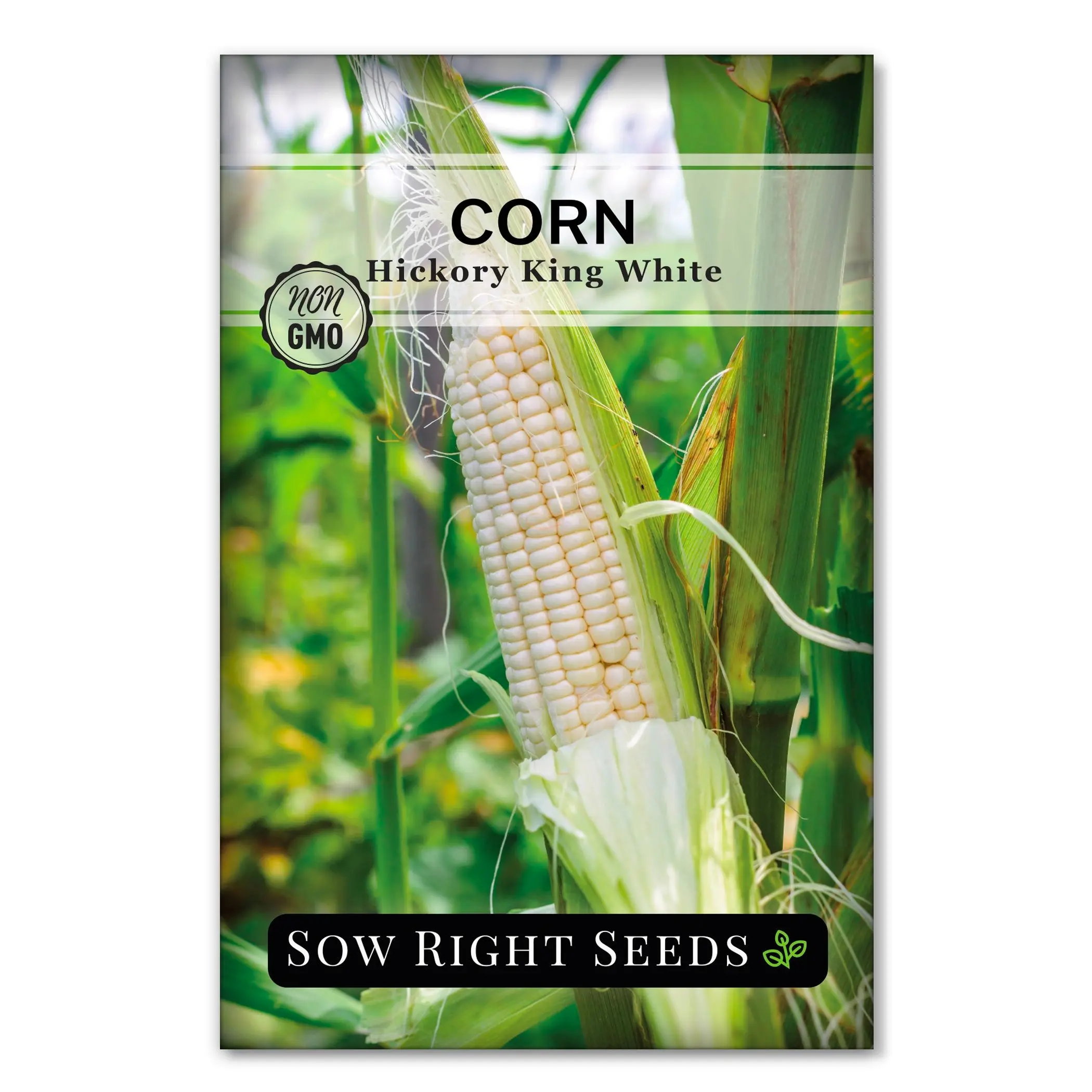 Hickory King White Corn