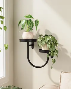 Bamworld Wall Planters for Indoor Plants Wall Plant Holder Plant Wall Shelves Metal Hanging Planters for Indoor Plants Window Plant Shelves Plant Hanger Indoor Plant Decor Black tiktokshopspringglowup,summervibes