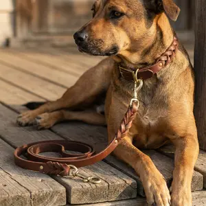 Brown Genuine Leather Braided Dog Collar & Leash Set Solid Brass Hook Tangle-Free Braid Comfort Grip for Small to Large Dogs