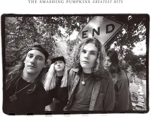 Smashing Pumpkins - Rotten Apples: Greatest Hits  [VINYL RECORD - LP]