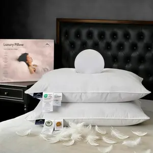 Goose Down Pillow, Hotel Quality with Feather Fill, 750 Fill Size - 2 Pack with Pillowcase for Bedroom, for Back, Side, Stomach Sleepers (Queen Size 20" x 28")