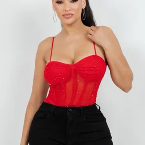 Almeda Rhinestone mesh bustier corset top