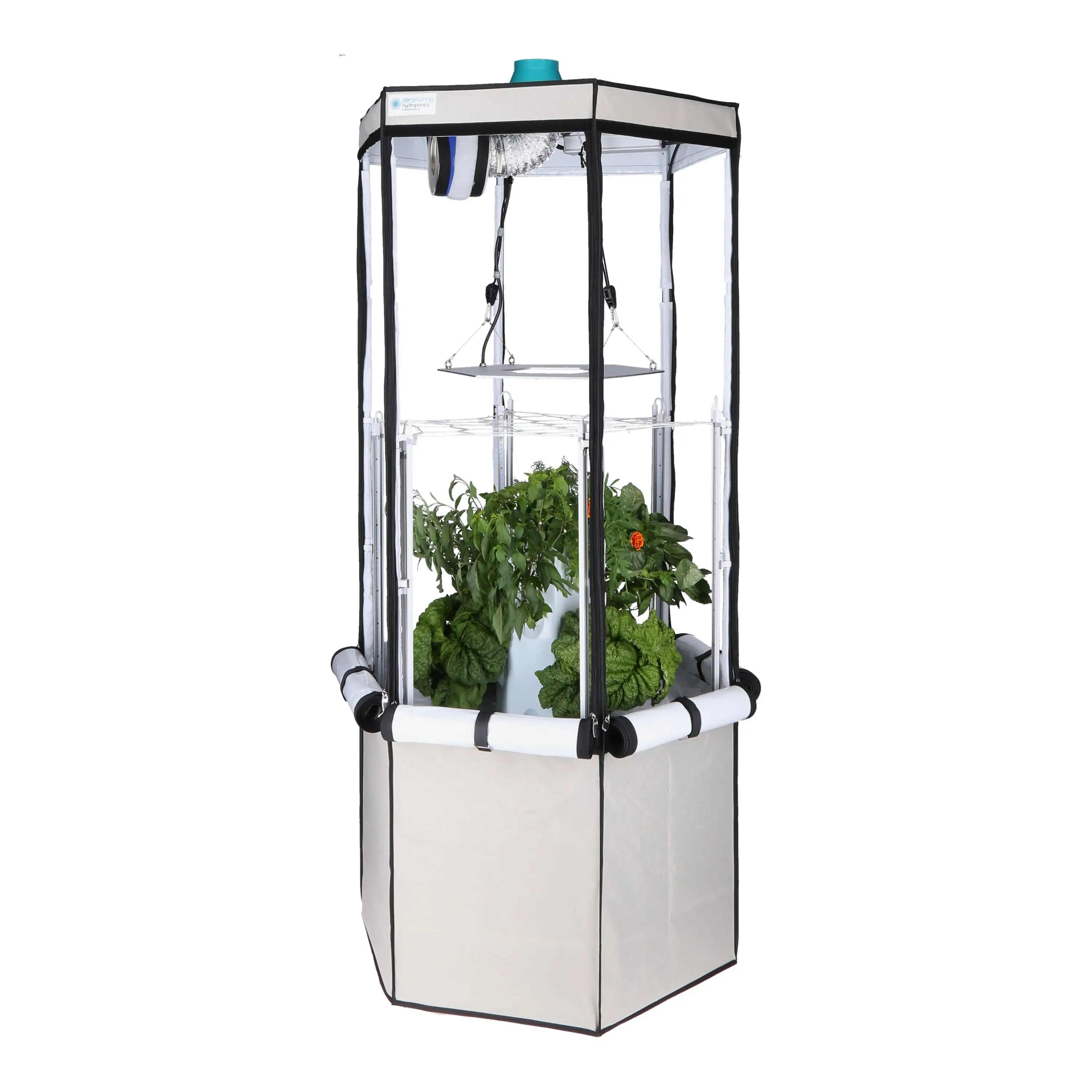 9-Plant Indoor Hydroponic System