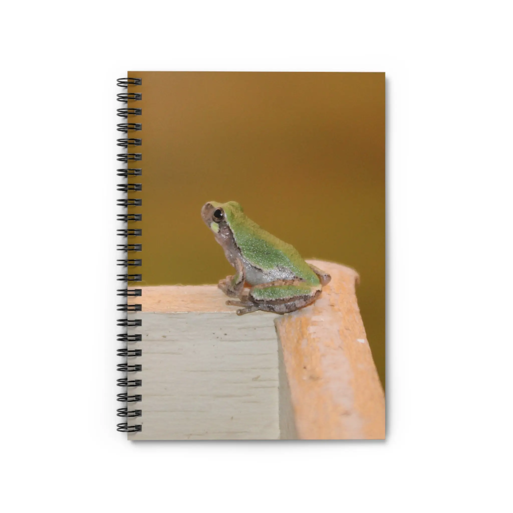 Tiny Frog Spiral Notebook - Ruled Line - Picturesque Note Taking - Frog Lover Gift