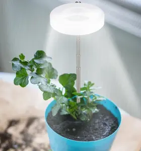 Full Spectrum Halo Grow Lights for Indoor Plants - Detachable Base, Height-Adjustable, 3 Colors, 10 Dimming Levels, Automatic Timer, Ideal for Succulents & Small Plants