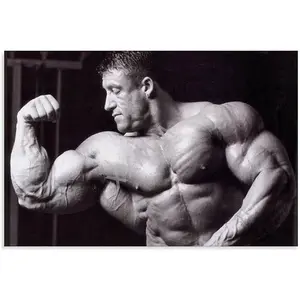 No Framed, Mr. Olympic Poster Fitness