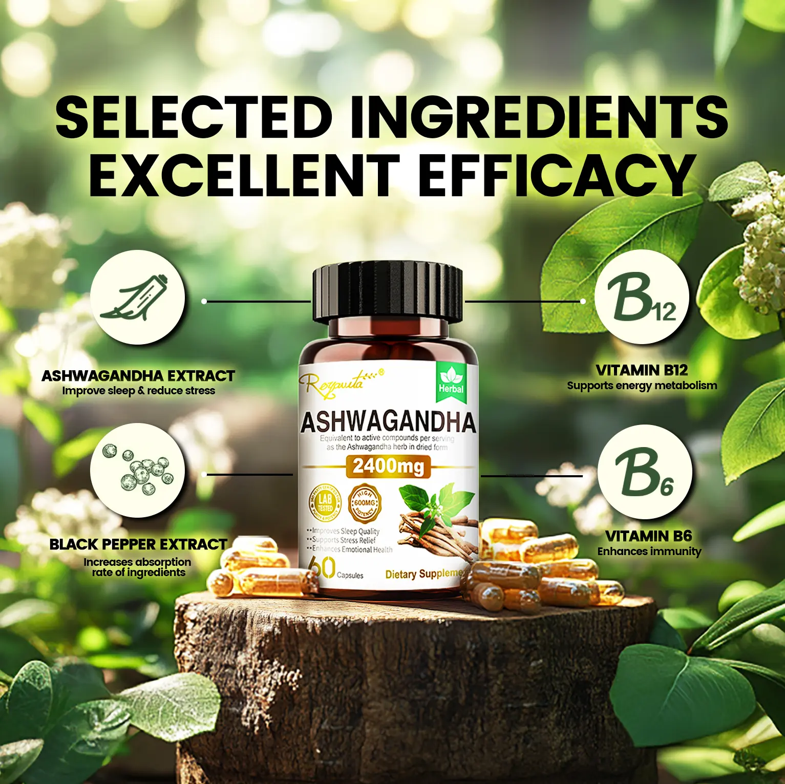 Royavita Natural Organic Ashwagandha Herbs Dietary Supplement with Probiotics, 60 Capsules, Vitamins B6 & B12, for Energy Production, Mood Regulation Fitness Edible