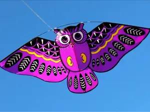 Purple Owl Kite, Easy Installation Suitable for Outdoor Fun in Spring