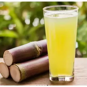 1000+ Sugar Cane Seeds, Sharing Pack, Rich in Sucrose Hybrid Make Suger Sweet Fruit Low-Maintenance  High Sucrose Hybrid, Low Maintenance, Sweet Fruit for Home Gardening