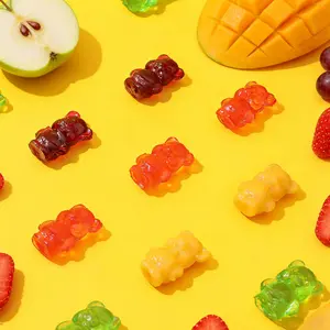 Burst in Every Bite 500g Gummy Bears The Ultimate Sweet Treat for Kids Parties Gifting afternoon tea