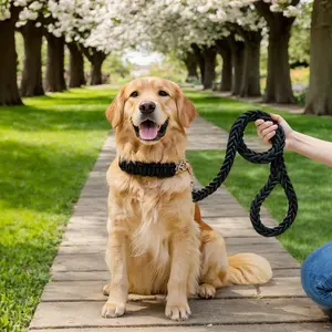 Heavy-Duty Dog Leash for Medium & Large Breeds Perfect for Golden Retrievers Labradors with Comfortable Collar & Sturdy Lead for Ultimate Control
