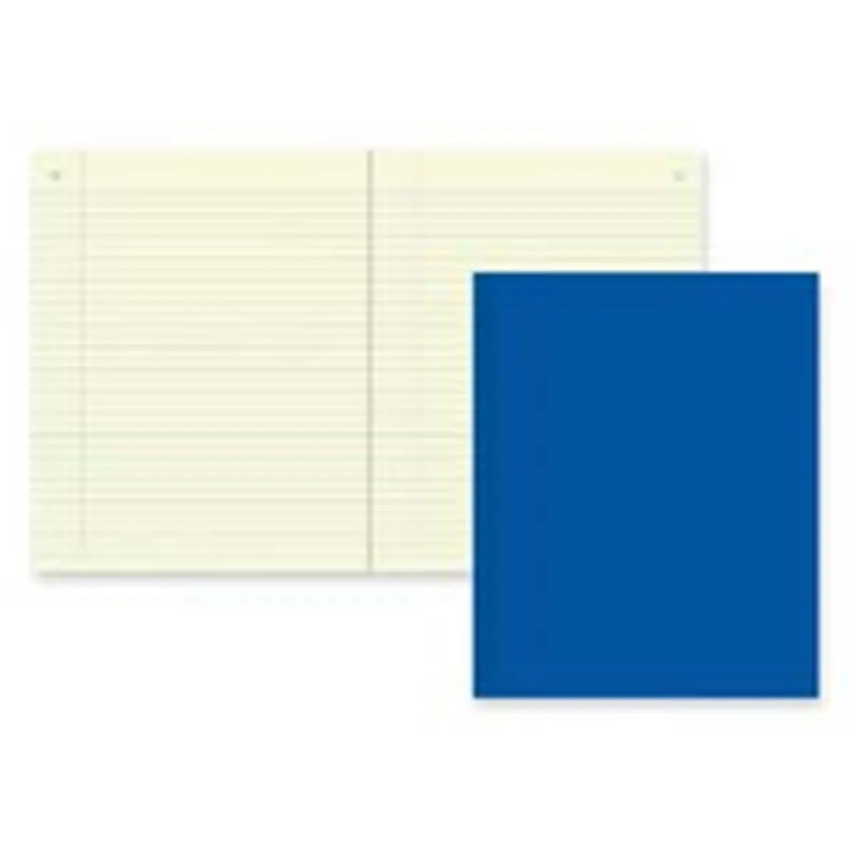 Rediform Chemistry Journal Notebook - Stationery Office Supplies, Flush-Cut Hard Cover, Green Eye-Ease Paper, 60 Sheets (Both Sides with Narrow Ruling), 11in x 8.50in, Margin Line, Both Sides Of Each Sheet Have Narrow Ruling