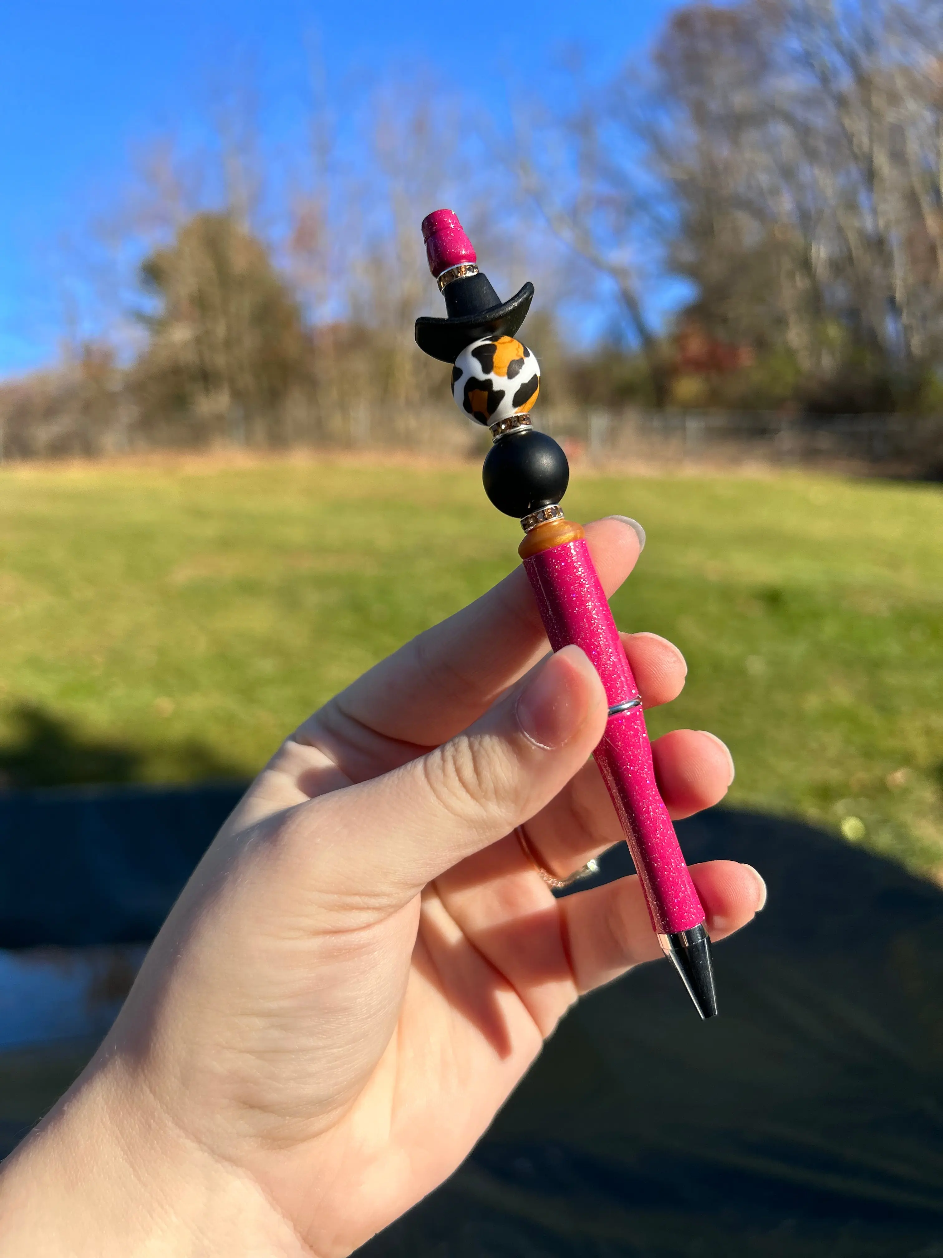 Western Cheetah Pen